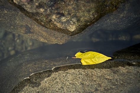 水中的石头摄影图__山水风景_自然景观_摄影图库_昵图网nipic.com