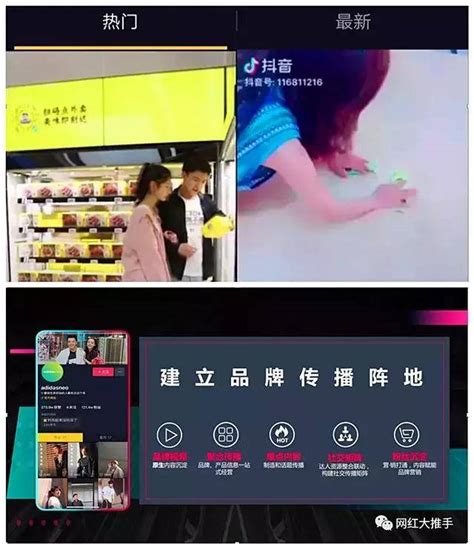 抖音创作服务平台官方公众号_抖音官网登录入口 - 金桔兔新媒体服务平台