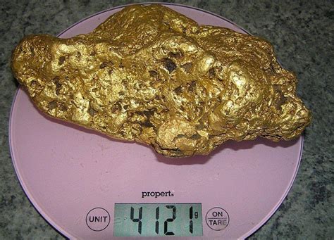 澳大利亚男子挖出8斤重金块 价值126万_新浪图片