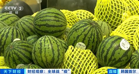 一个西瓜上百元 水果涨价韩国人大呼吃不起_新闻频道_中国青年网