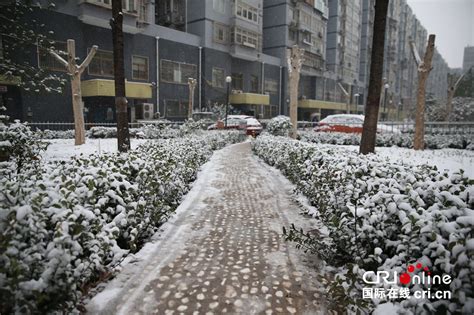 北京迎来今冬首场大雪 气象台发布暴雪红色预警_国内新闻_环球网
