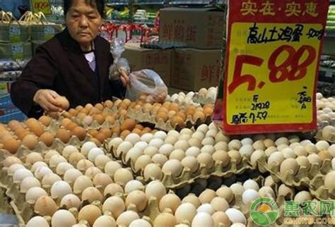 今日鸡蛋价格行情：部分地区鸡蛋价格重回“3元时代” - 惠农网