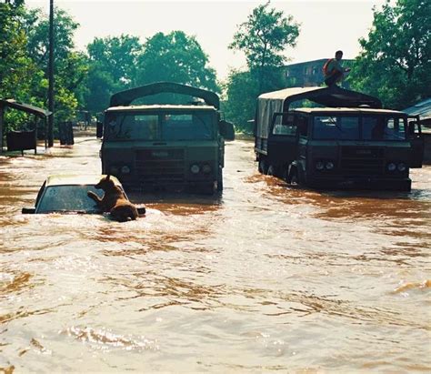 1998年夏天，长江发生百年一遇的洪水，嘉鱼县簰洲湾江段发生溃堤