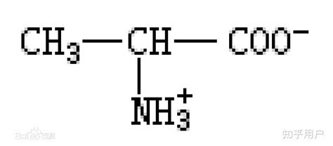 初中化学实验_紫色石蕊试液分别与酸和碱的反应