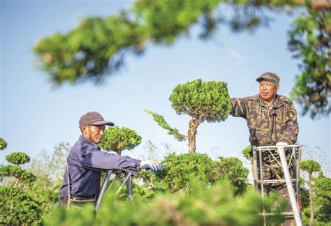 绿色苗木种植企业网站图片下载_红动中国
