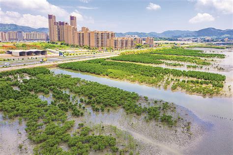 惠阳十四五规划正式发布，投资1657亿！|淡水|惠阳|惠阳区_新浪新闻