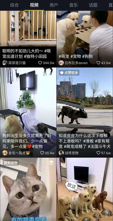 深圳社区家园网 宠物领域众多优秀品牌集中亮相 亚洲最大宠物展首次移师深圳