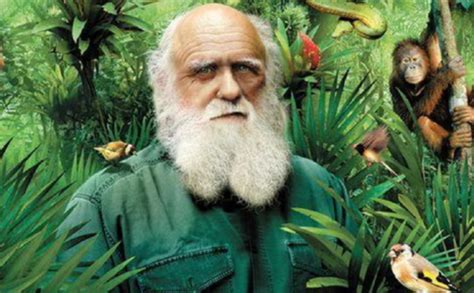 达尔文进化论对于人类的误导 - 知乎