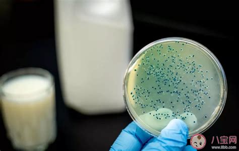 兰州泄露的布鲁氏菌，你了解多少？它比新冠病毒更可怕 - 知乎