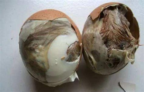 董爷爷卖鲜鸡毛蛋不受待见， 只因担心鲜鸡毛蛋里可能含寄生虫！|毛蛋|鲜鸡|寄生虫_新浪新闻