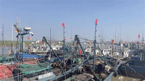 东营市中心渔港渔船返港待休渔_山东频道_凤凰网
