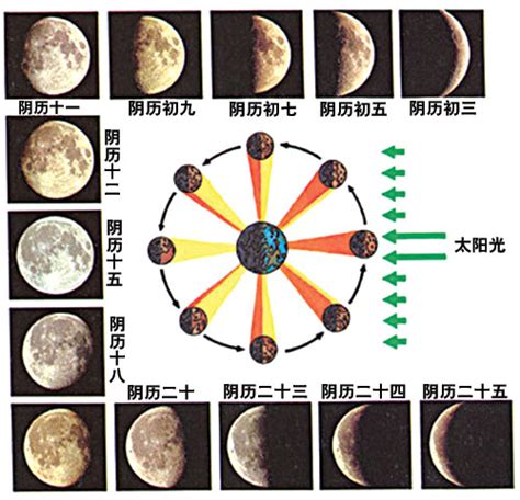 月亮形状变化的规律,月亮一个月的变化规律,月亮的变化规律_大山谷图库