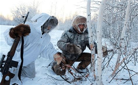 东北虎遇上西伯利亚狼群，真的只有逃跑的份吗？它们谁厉害？|狼群|东北虎|西伯利亚_新浪新闻