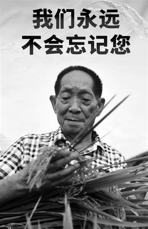 沉痛悼念！袁隆平逝世，享年91岁_手机新浪网