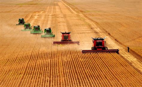 美国农业实现了什么化和什么化，美国农业发展的特点-农百科