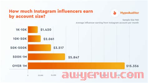 您可以在Instagram上赚多少钱？_石南学习网