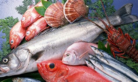 深海鱼种类及图片大全 - 百科 - 酷钓鱼
