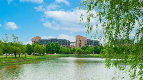 权威发布 | 武汉晴川学院2021年计划招生3790人-武汉晴川学院