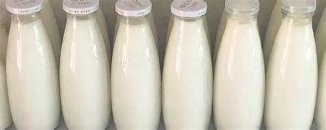 牛乳和牛奶的区别（牛乳和鲜牛奶还有纯牛奶的区别在哪呢？）_斜杠青年工作室