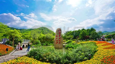 安吉余村：美丽风景带旺乡村旅游-中国网
