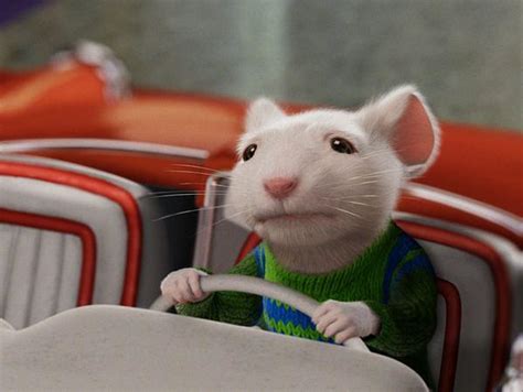 《精灵鼠小弟》-高清电影-完整版在线观看