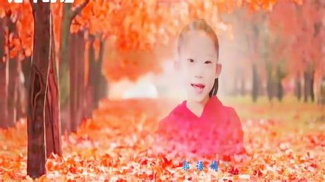 赞美秋天的儿童诗——金波《落叶的话》配乐朗诵视频