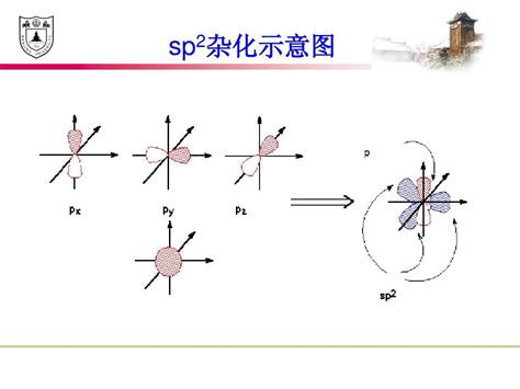 sp杂化轨道的结构.mp4_腾讯视频