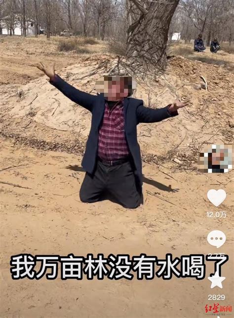 “跪地求水”的林场主孙国友被称“治沙英雄” 当地村民有异议_腾讯视频