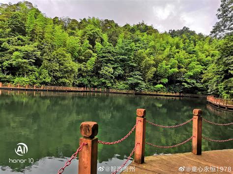 4月21日至22日，贵州竹产业发展大会在赤水召开。