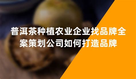 普洱茶种植农业企业找品牌全案策划公司如何打造品牌-上海美御