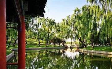 北京龙潭公园 的图像结果