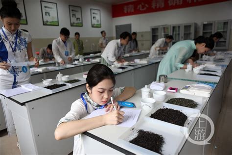 重庆十大名茶排名，重庆本地茶叶什么品牌最好(2)_巴拉排行榜