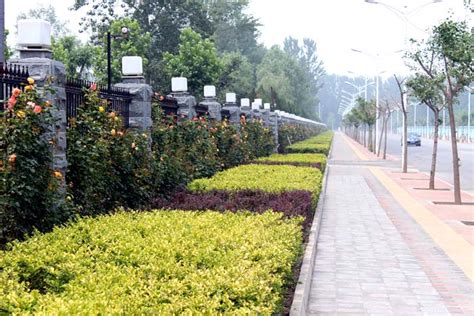 北清路项目 - 市政园林工程 - 北京园林绿化公司|北京园林公司|北京绿化公司|园林景观设计|园林绿化工程公司--福森园林