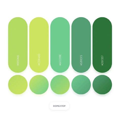 绿色系色卡及颜色名称有哪些-百度经验