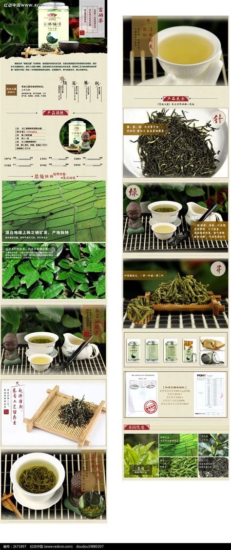 淘宝罐装绿茶详情页图片下载_红动中国