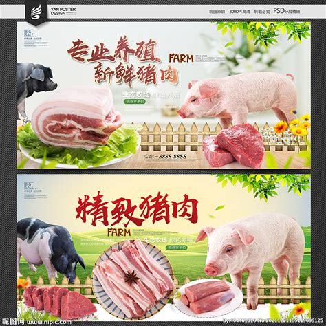 猪肉设计图__海报设计_广告设计_设计图库_昵图网nipic.com