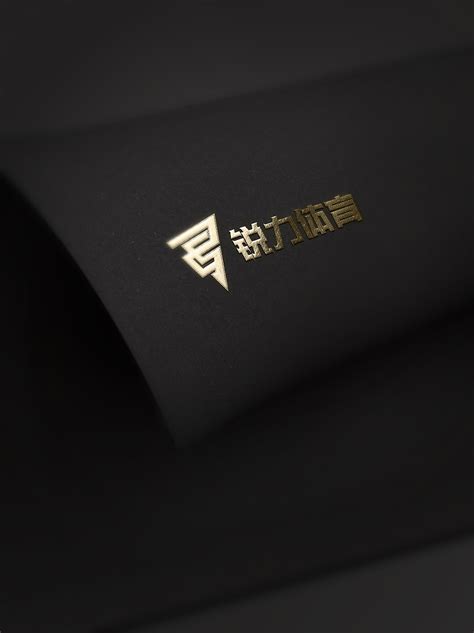 “锐力体育”logo设计|平面|品牌|孙政雨_原创作品-站酷ZCOOL
