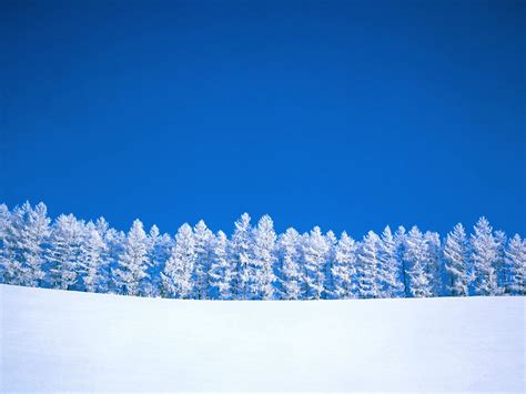 全球冬季绝色美景 冰天雪地宛如仙境_频道_凤凰网