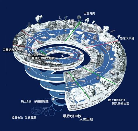 论断代构造-地层区划的原则与方法:以中国寒武纪构造-地层区划为例