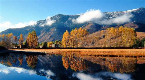 美丽暖暖的秋天季节枫树叶飘落高清图片jpg下载