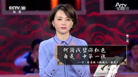 中华诗词大会第二季决赛飞花令“酒”_腾讯视频
