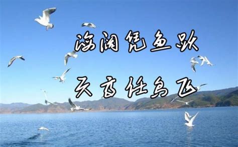 【天高任鸟飞摄影图片】生态摄影_太平洋电脑网摄影部落