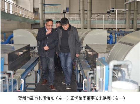 发挥龙头纽带作用 助力铝电子产业发展_广西贺州市桂东电子科技有限责任公司