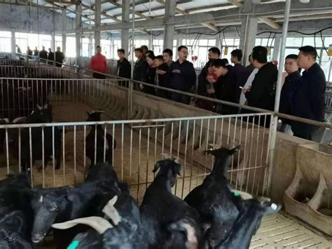 国家863计划项目工作汇报会召开_湖南省畜牧兽医研究所