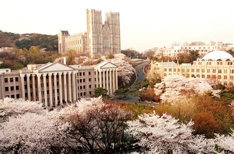 韩国大学世界排名2021（韩国大学世界排名qs） - 趣闻杂谈 - 云科网