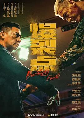 李白 (2030)-电影-无删减完整版高清免费在线观看