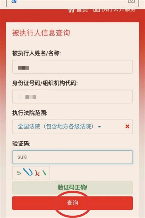 中国执行失信信息公开网查询（如何查询被执行人信息？）-录案号