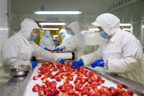 番茄加工生产线_上海成洵实业有限公司