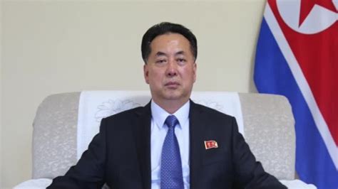 中国新任驻朝鲜大使王亚军向朝鲜外务省递交国书副本 - 2023年4月4日, 俄罗斯卫星通讯社