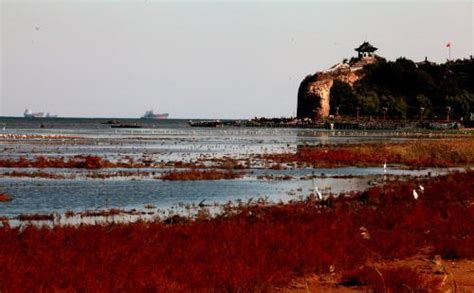秦皇岛金梦海湾柒号香堤澜庭出门就是海，270°一览无余的海景 - 动态 - 吉屋网